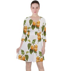 Apricot Fruit Vintage Art Ruffle Dress by Pakrebo