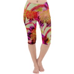 Fractal Mandelbrot Art Wallpaper Lightweight Velour Cropped Yoga Leggings by Pakrebo