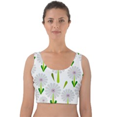 Zappwaits Velvet Crop Top by zappwaits