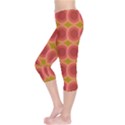 Zappwaits Retro Capri Leggings  View3