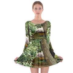 Garden Of The Phoenix Long Sleeve Skater Dress by Riverwoman