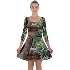 Garden Of The Phoenix  Quarter Sleeve Skater Dress by Riverwoman