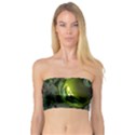 Fractal Intensive Green Olive Bandeau Top View1