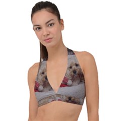 Cockapoo In Dog s Bed Halter Plunge Bikini Top by pauchesstore