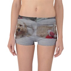 Cockapoo In Dog s Bed Reversible Boyleg Bikini Bottoms by pauchesstore