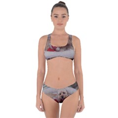 Cockapoo In Dog s Bed Criss Cross Bikini Set by pauchesstore