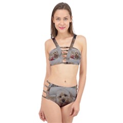 Cockapoo In Dog s Bed Cage Up Bikini Set by pauchesstore