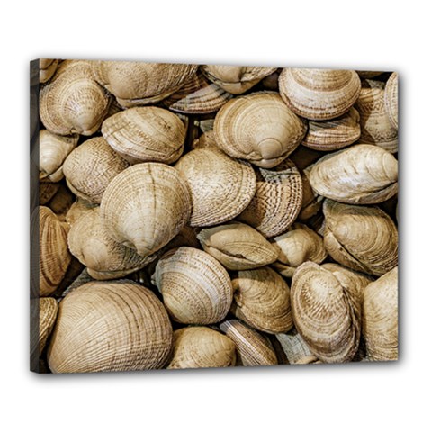 Shellfishs Photo Print Pattern Canvas 20  X 16  (stretched) by dflcprintsclothing