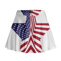 A Star With An American Flag Pattern Mini Flare Skirt by Sudhe