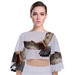 Eagle Tie Back Butterfly Sleeve Chiffon Top by Sudhe