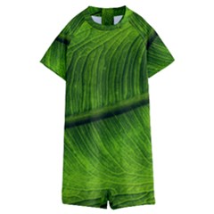 Green Leaf Plant Freshness Color Kids  Boyleg Half Suit Swimwear by Pakrebo