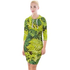 Garden Of The Phoenix Quarter Sleeve Hood Bodycon Dress by Riverwoman