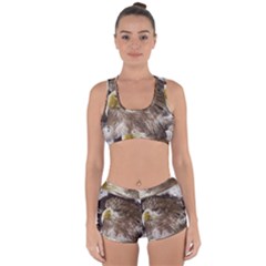 Sea Eagle Raptor Nature Predator Racerback Boyleg Bikini Set by Pakrebo