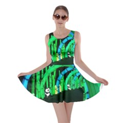 Dragon Lights Panda Skater Dress by Riverwoman