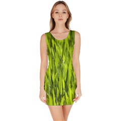 Agricultural Field   Bodycon Dress by rsooll