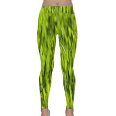 Agricultural Field   Classic Yoga Leggings by rsooll