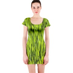 Agricultural Field   Short Sleeve Bodycon Dress by rsooll