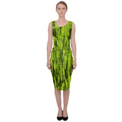 Agricultural Field   Sleeveless Pencil Dress by rsooll