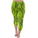 Agricultural field   Capri Winter Leggings  View4