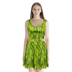 Agricultural Field   Split Back Mini Dress  by rsooll