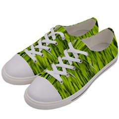 Agricultural Field   Women s Low Top Canvas Sneakers by rsooll