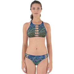 Peacock Feathers Colorful Feather Perfectly Cut Out Bikini Set by Pakrebo