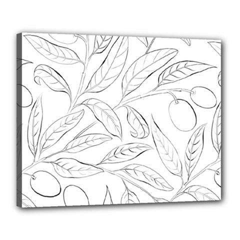 Organic Olive Leaves Pattern Hand Drawn Black And White Canvas 20  X 16  (stretched) by genx