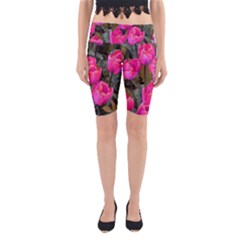 Pink Tulips Yoga Cropped Leggings by snowwhitegirl