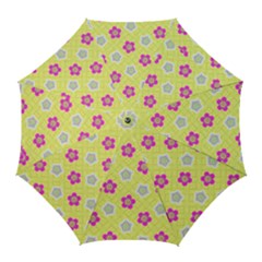 Traditional Patterns Plum Golf Umbrellas by Pakrebo