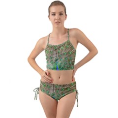 Peacock Color Bird Colorful Mini Tank Bikini Set by Pakrebo