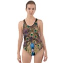 Peacock Feather Peacock Feather Cut-Out Back One Piece Swimsuit View1