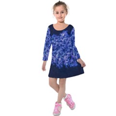 Queen Annes Lace In Blue Kids  Long Sleeve Velvet Dress by okhismakingart