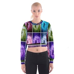 Closing Queen Annes Lace Collage (horizontal) Cropped Sweatshirt by okhismakingart