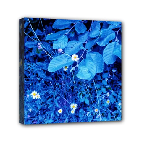 Blue Daisies Mini Canvas 6  X 6  (stretched) by okhismakingart