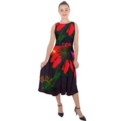 Neon Cone Flower Midi Tie-back Chiffon Dress by okhismakingart