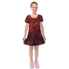 Red Goldenrod Kids  Short Sleeve Velvet Dress by okhismakingart