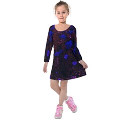 Red-edged Blue Sedum Kids  Long Sleeve Velvet Dress by okhismakingart