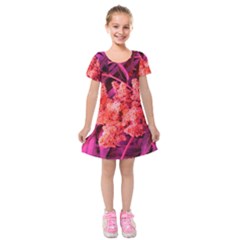 Pink Sideways Sumac Kids  Short Sleeve Velvet Dress by okhismakingart