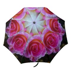 Spiral Rose Folding Umbrellas by okhismakingart