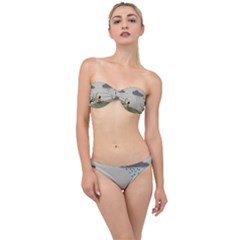 Birds Tree Animal Black Tree Classic Bandeau Bikini Set by HermanTelo