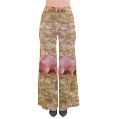 Squirrel So Vintage Palazzo Pants by Riverwoman