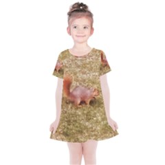 Squirrel Kids  Simple Cotton Dress by Riverwoman