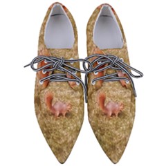 Squirrel Pointed Oxford Shoes by Riverwoman