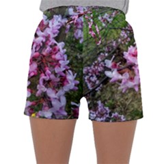 Redbud In April Sleepwear Shorts by Riverwoman