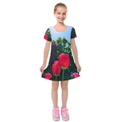 Skyward Tulips Kids  Short Sleeve Velvet Dress by okhismakingart