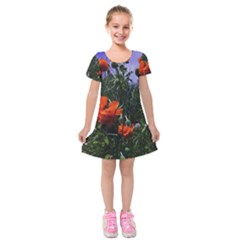 Poppy Field Kids  Short Sleeve Velvet Dress by okhismakingart