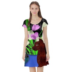 The Cat And The Tulips Short Sleeve Skater Dress by bloomingvinedesign