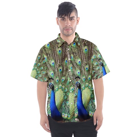 Blue And Green Peacock Men s Short Sleeve Shirt by Pakrebo