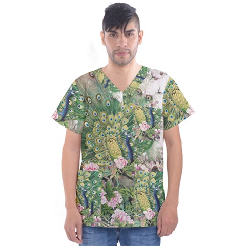 Peafowl Peacock Feather Beautiful Men s V-neck Scrub Top by Sudhe