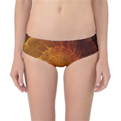 Orange Warm Hues Fractal Chaos Classic Bikini Bottoms by Wegoenart